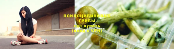 ГАЛЛЮЦИНОГЕННЫЕ ГРИБЫ Ханты-Мансийск